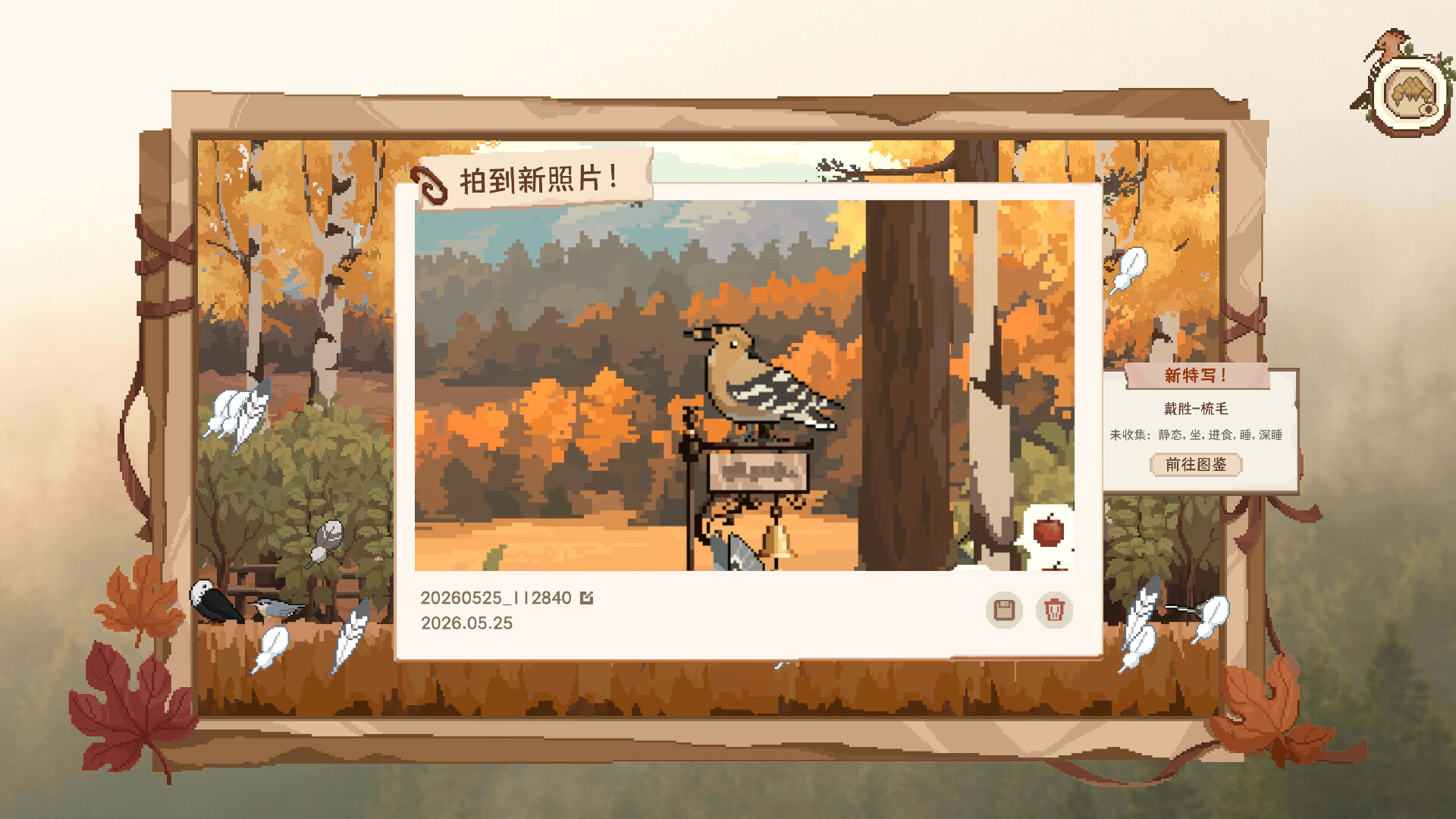 拍照